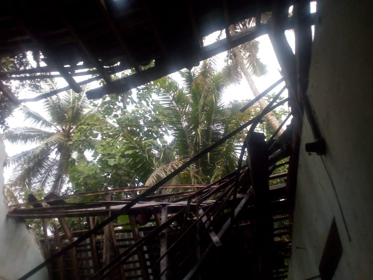 03012020_Pohon_tumbang_luweng_kidul.jpg