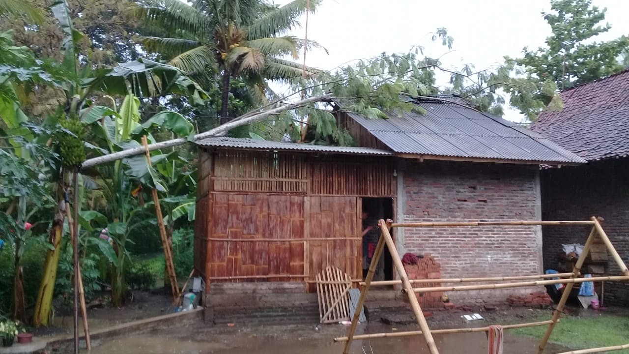 06012020_Pohon_Tumbang_Bandung_Kidul.jpg