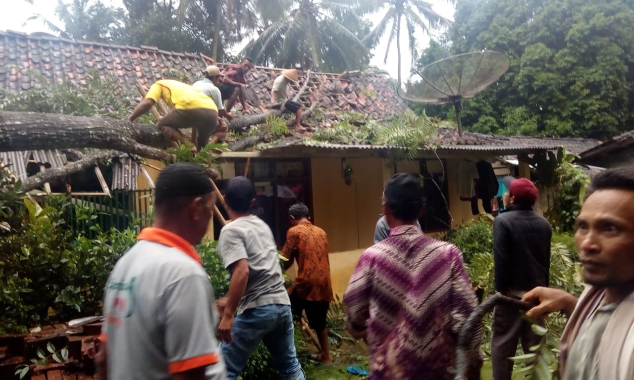 10012020_Pohon_Tumbnag_Kaliwungu_Bruno.jpg