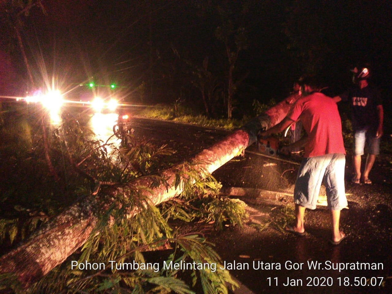 11022020_Pohon_tumbang_jl_pahlawan.jpg