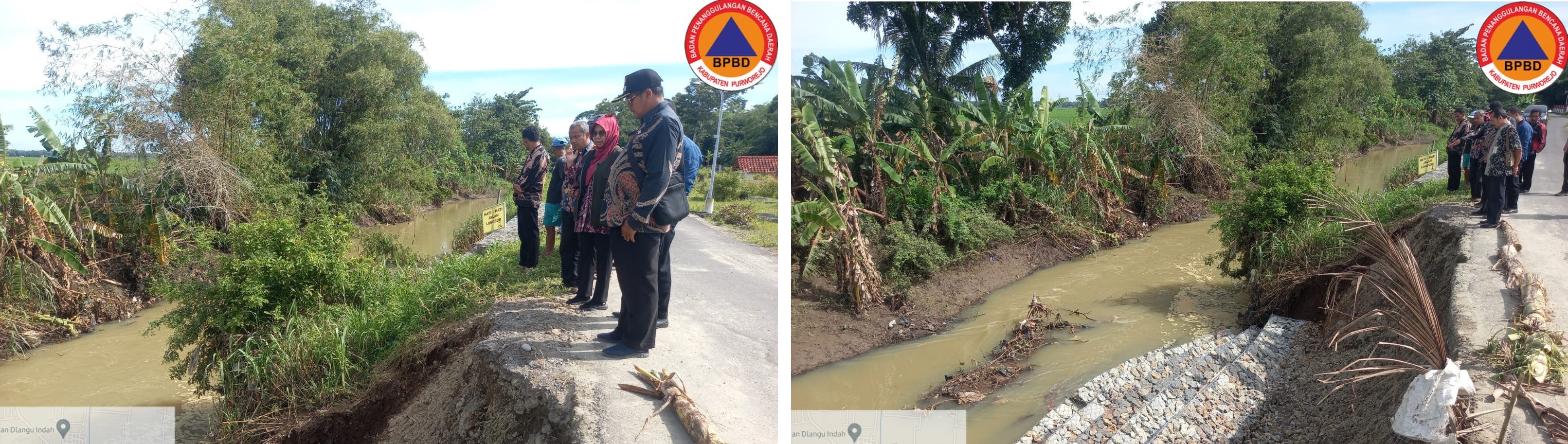 MONITORING BRONJONG AMBRUK DI DESA KUNIR, KECAMATAN BUTUH