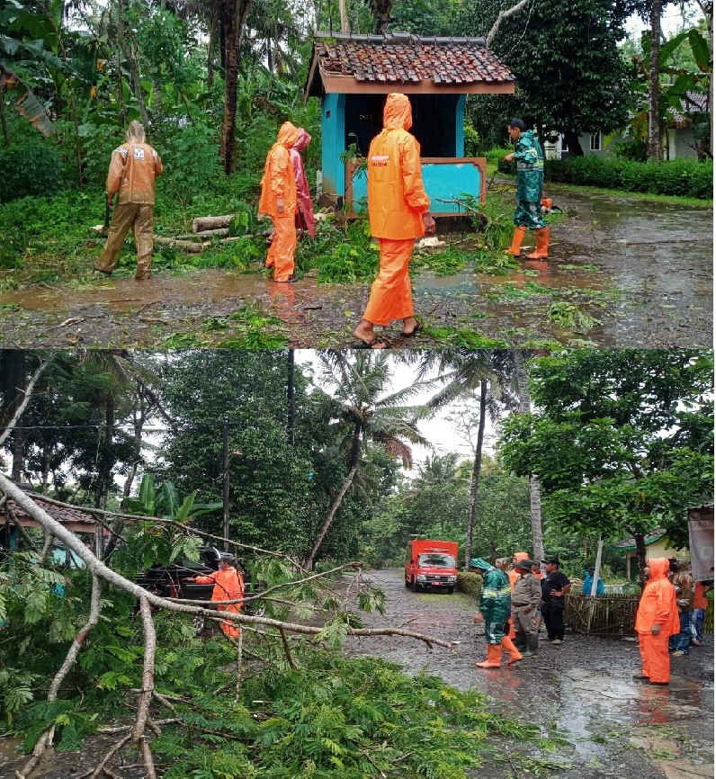 POHON TUMBANG MENIMPA POS KAMLING