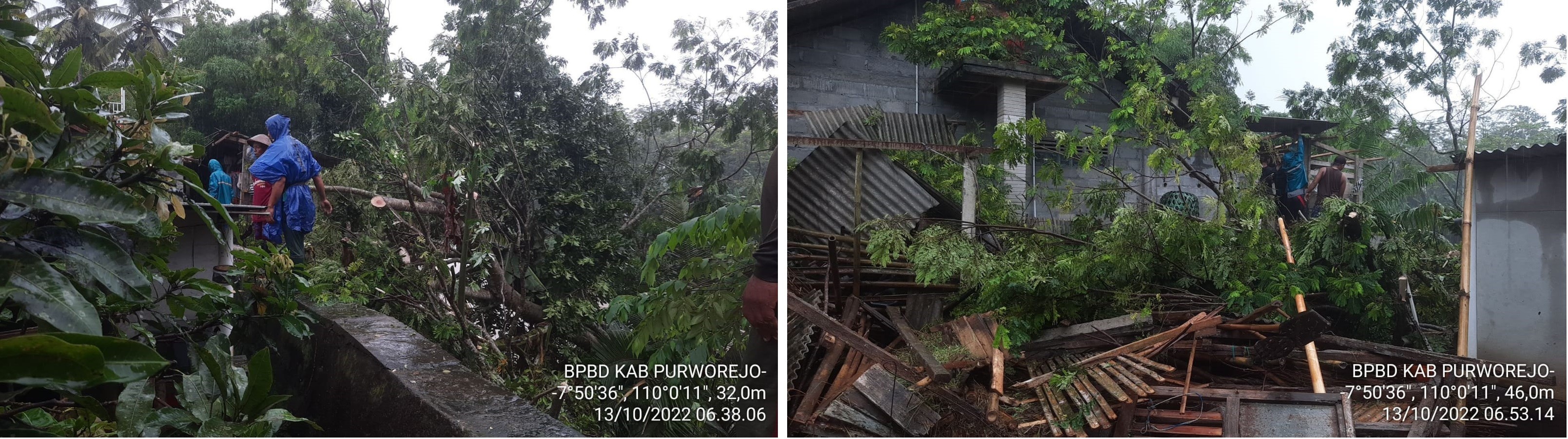 POHON TUMBANG SEBABKAN ATAP RUMAH DAN KANDANG KAMBING WARGA RUSAK