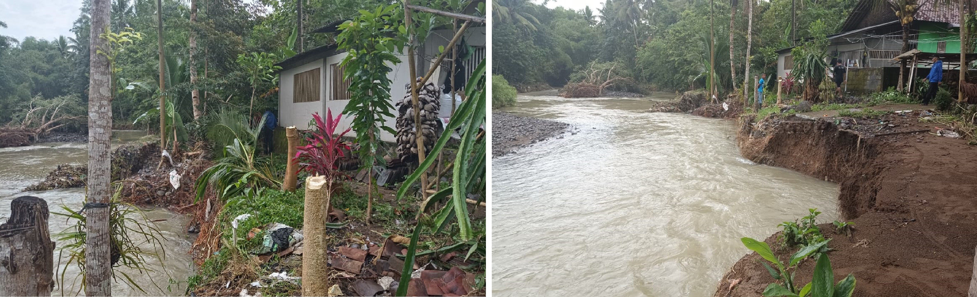 ABRASI SUNGAI DI DESA SOKO SEBABKAN LAHAN TANAH WARGA TERGERUS 