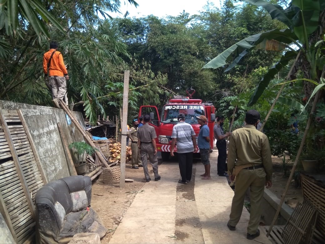 WhatsApp_Image_2020-09-16_at_14_26_59(1)_Purwodadi.jpg